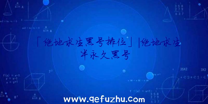 「绝地求生黑号排位」|绝地求生半永久黑号